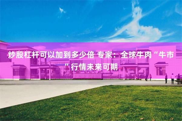 炒股杠杆可以加到多少倍 专家：全球牛肉“牛市”行情未来可期