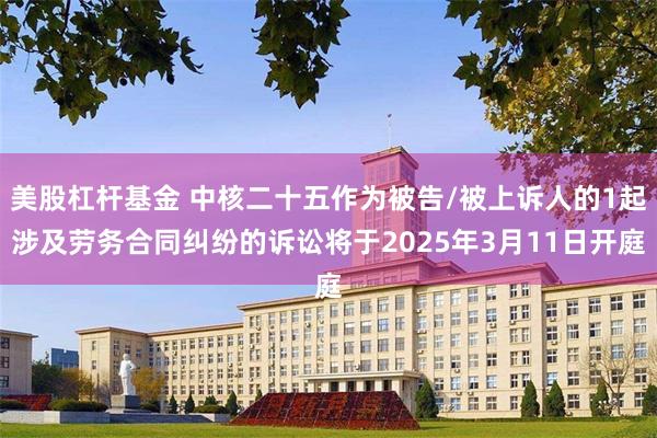 美股杠杆基金 中核二十五作为被告/被上诉人的1起涉及劳务合同纠纷的诉讼将于2025年3月11日开庭