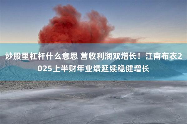 炒股里杠杆什么意思 营收利润双增长！江南布衣2025上半财年业绩延续稳健增长