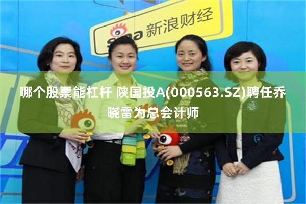 哪个股票能杠杆 陕国投A(000563.SZ)聘任乔晓雷为总会计师