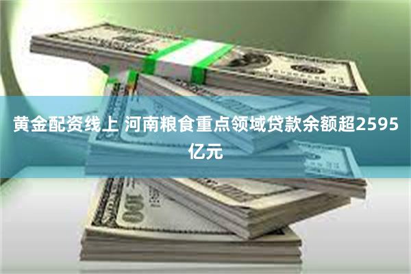 黄金配资线上 河南粮食重点领域贷款余额超2595亿元