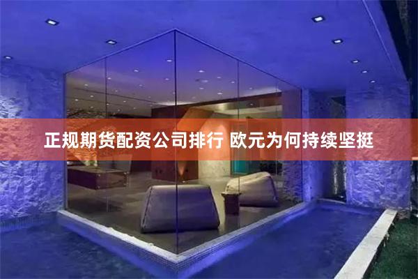 正规期货配资公司排行 欧元为何持续坚挺