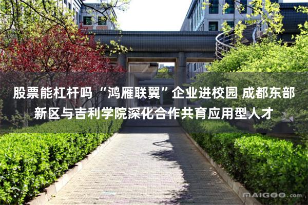 股票能杠杆吗 “鸿雁联翼”企业进校园 成都东部新区与吉利学院深化合作共育应用型人才