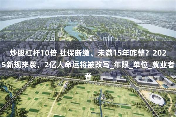 炒股杠杆10倍 社保断缴、未满15年咋整？2025新规来袭，2亿人命运将被改写_年限_单位_就业者