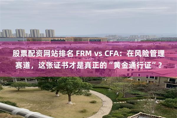 股票配资网站排名 FRM vs CFA：在风险管理赛道，这张证书才是真正的“黄金通行证”？