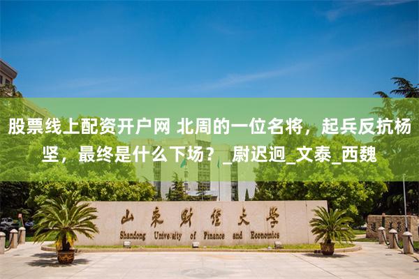 股票线上配资开户网 北周的一位名将，起兵反抗杨坚，最终是什么下场？_尉迟迥_文泰_西魏