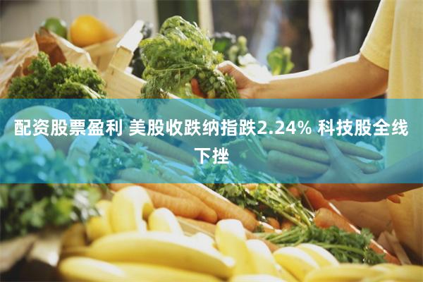 配资股票盈利 美股收跌纳指跌2.24% 科技股全线下挫