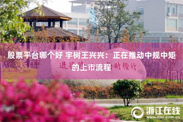 股票平台哪个好 宇树王兴兴：正在推动中规中矩的上市流程